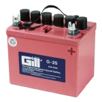 Gill G25 Lead Acid Battery Dry