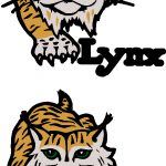 Grumman Lynx Full-Color Decals