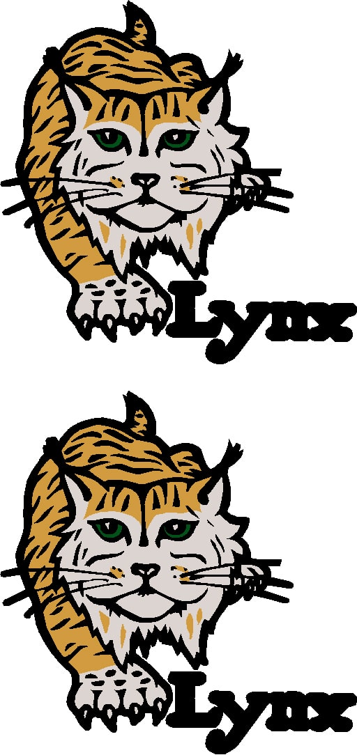 tanks the modern age lynx decal sheet