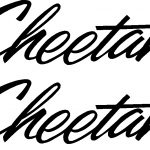 Grumman Aircraft Cheetah Script Decals