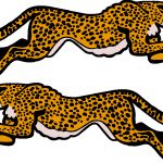 Grumman Cheetah Decal Full-Color