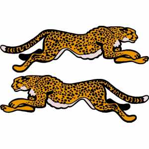 Grumman-cheetah-decal