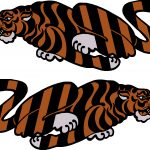 Grumman Tiger Full-Color Decal