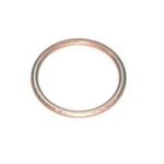 Lycoming Annular Gasket - Crush Washer 06E1967-1.00